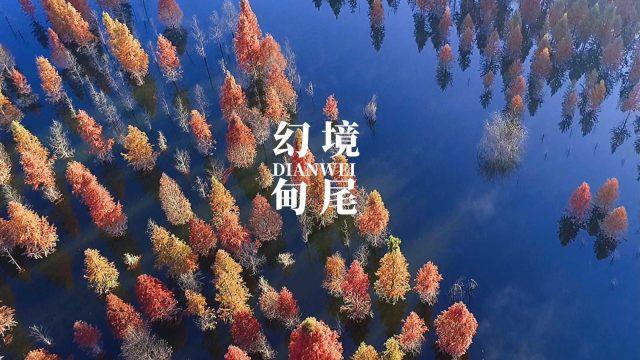 半条命2